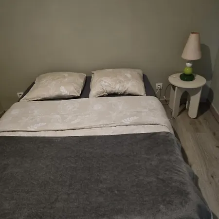 T1 Meuble Apartment Saint-Chamond Room photo